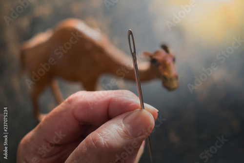 Obraz na plátně eye of needle and camel