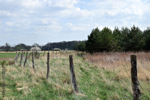 The fence encloses the meadow.  Grady odrzanskie  - odra river near Wroclaw city. Nature protection areas  Natura 2000 . Dolnoslaskie  Poland.