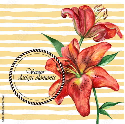 Fototapeta Naklejka Na Ścianę i Meble -  Flower Background With Two Beautiful Lilies.