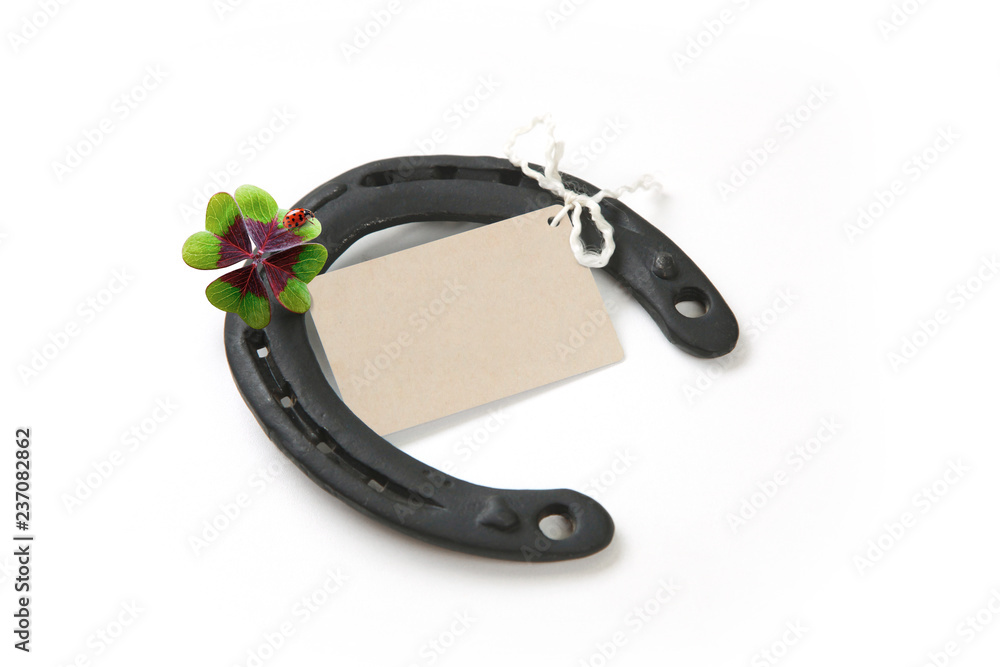 Obraz premium Hufeisen bringt Glück!