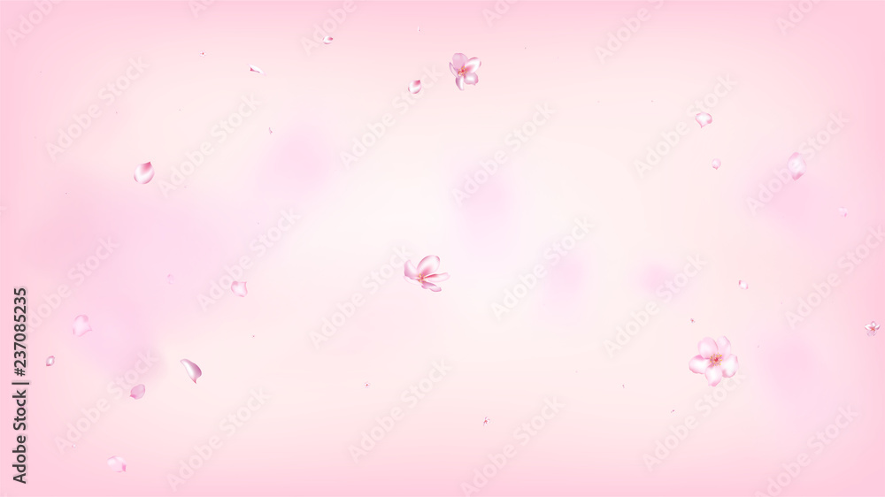 Nice Sakura Blossom Isolated Vector. Realistic Falling 3d Petals Wedding Paper. Japanese Blurred Flowers Illustration. Valentine, Mother's Day Beautiful Nice Sakura Blossom Isolated on Rose