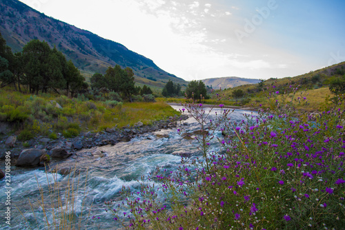 Early morning landscape view of the Gardner River in Yellowstone National Park