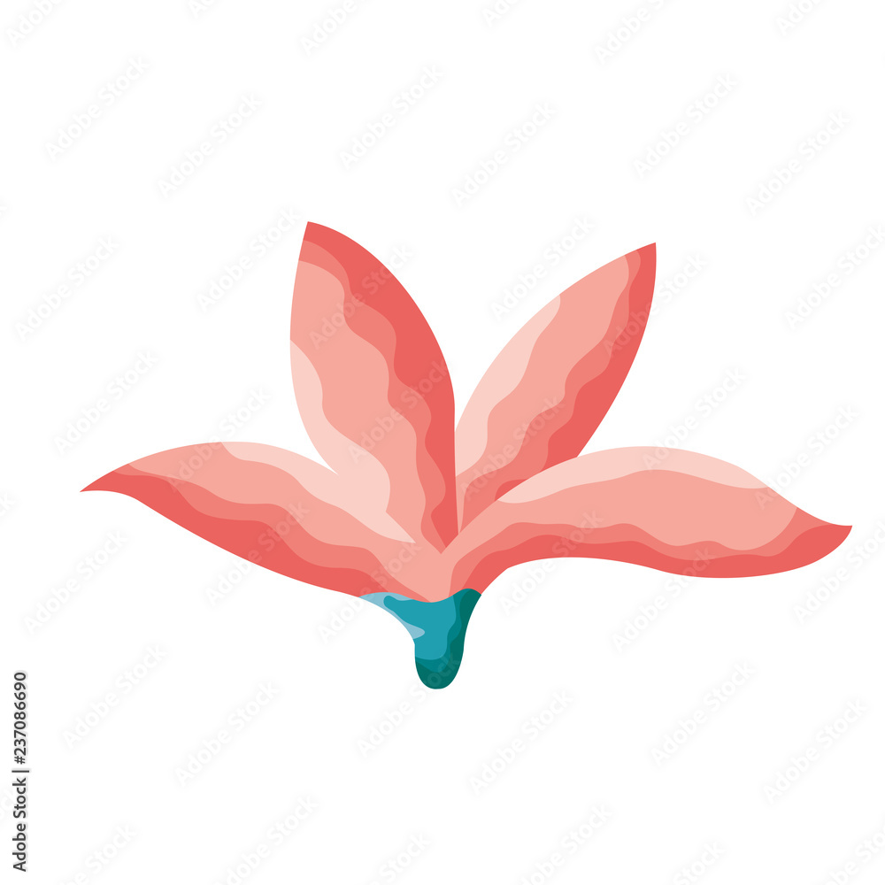 Fototapeta premium flower leaves foliage on white background
