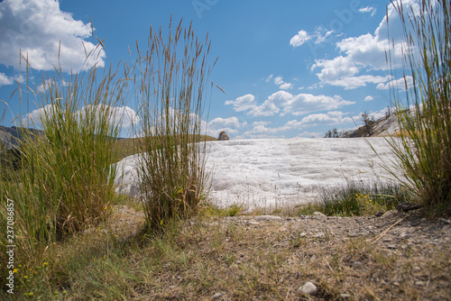 A travertine formation looms beyond clumps of grass in Mammoth Hot Springs  Yellowstone National Park