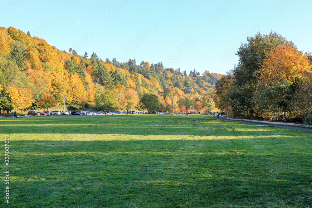 relaxing afternoon at Golden gardens park, Seattle Washington