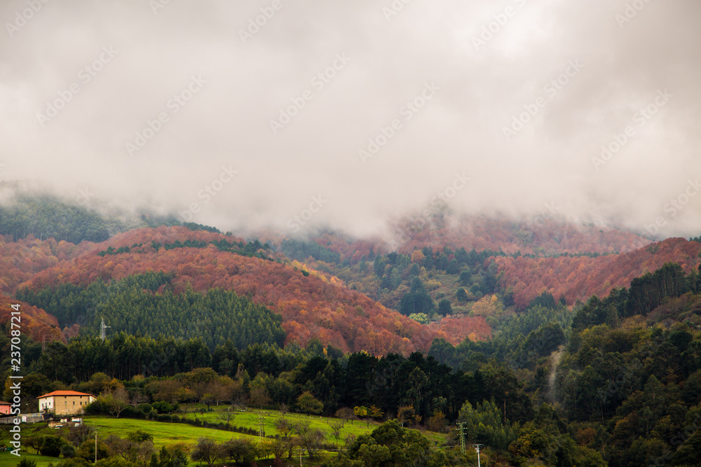 Niebla descendiendo por una montaña en otoño