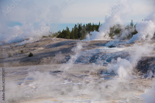 Norris Geyser Basin, Yellowstone National Park, early morning landscape