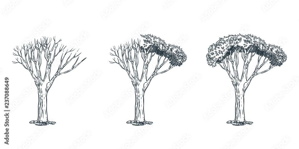 Fototapeta premium Life and dead tree concept. Vector hand drawn sketch illustration.