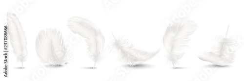 Obraz na plátně Vector 3d Realistic Different Falling White Fluffy Twirled Feather Set Closeup Isolated on White Background