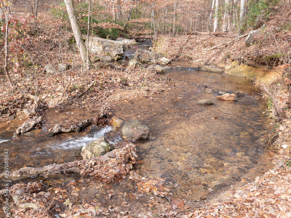 Fototapeta premium A stream flowing through the forest in Calhoun County, Alabama, USA