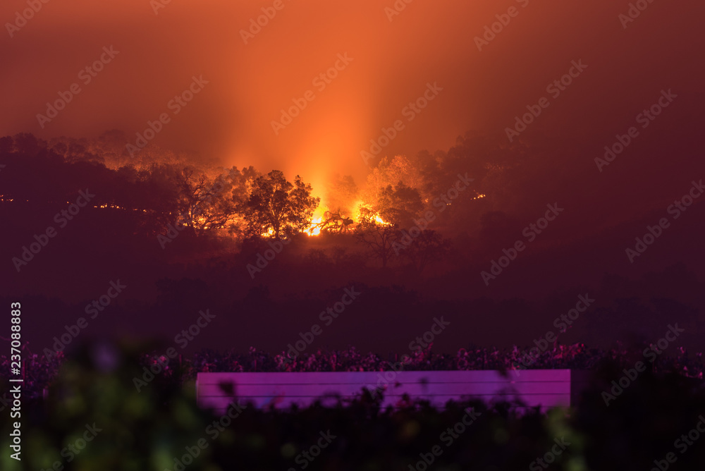 Fototapeta premium Fire in Sonoma Hills