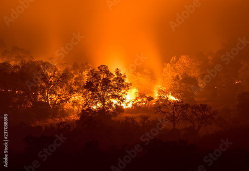 Fire in Sonoma Hills