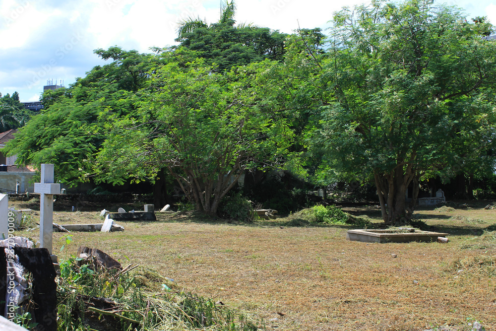 Cemetery on the side of the road known as the Hip Strip,  Montego Bay, Jamaica. Surrounding buildings, trees. Cemetery appears to be in the process of being cleaned up.