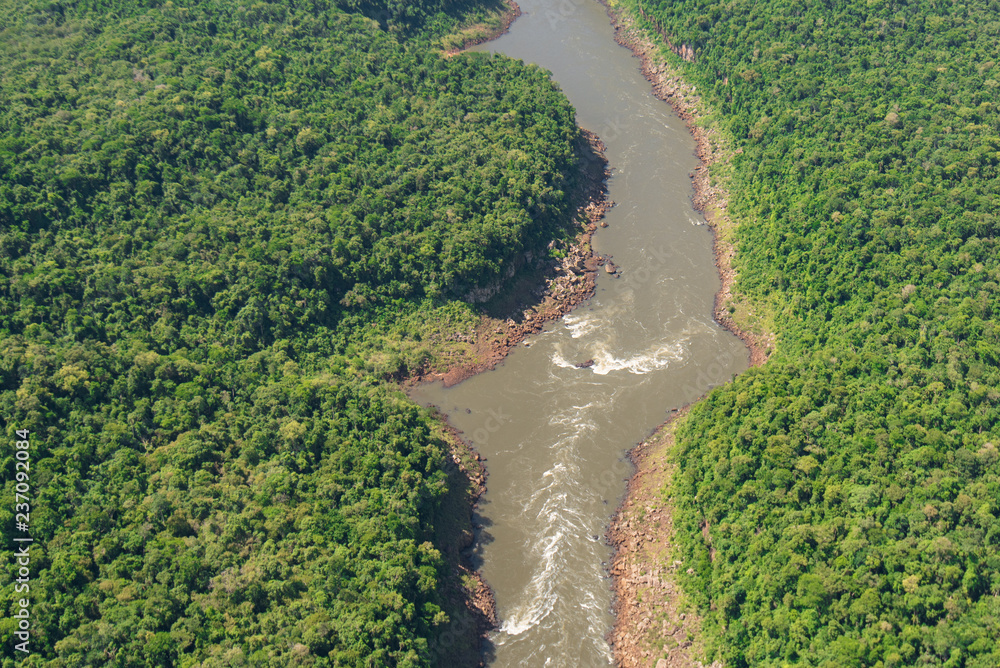 Aerial View of the River in a Tropical Rainforest