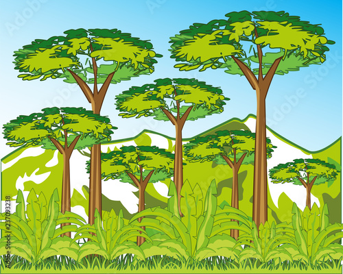 Beautiful landscape to wild terrain of the savannah