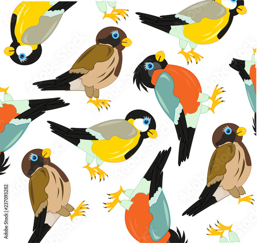 Pattern from birds sparrow,tomtit and bullfinch.Vector illustration