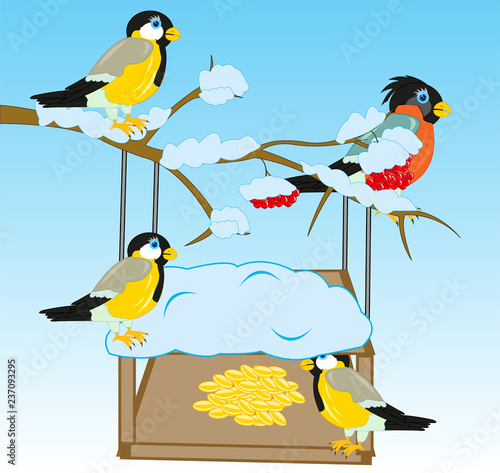 Birds bullfinch and tomtits beside feeding troughs