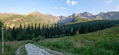 Hiking path in the Tatra Park