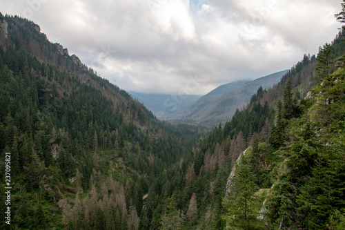 View of the Tatra Mountains  Poland