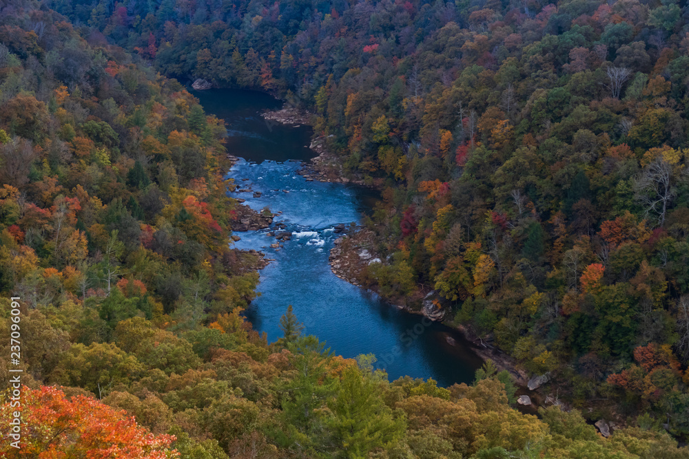 River flowing thru gorge in forest with fall foliage