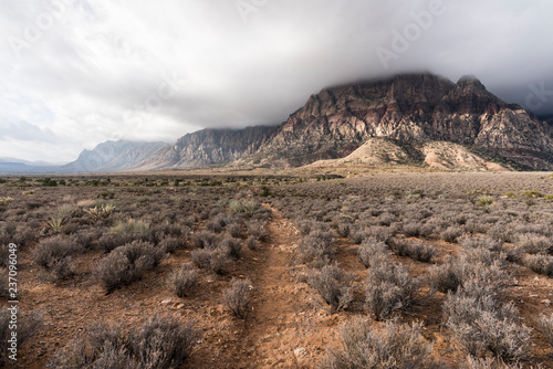 November rain clouds moving...