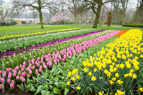 Wallpaper Mural Landscape of the Keukenhof Park in Lisse, South Holland, Netherlands Torontodigital.ca