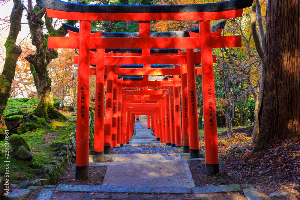 有子山稲荷神社の鳥居