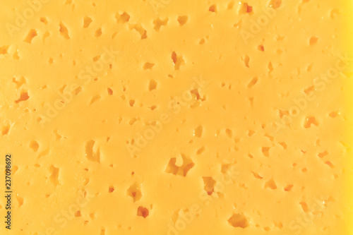 Cheese with holes yellow-white close-up in the whole photo