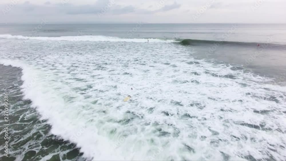 surfers surfers
