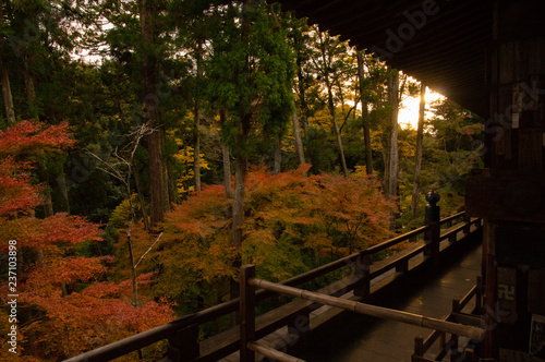 Ishiymadera red leaves at Shiga  Japan