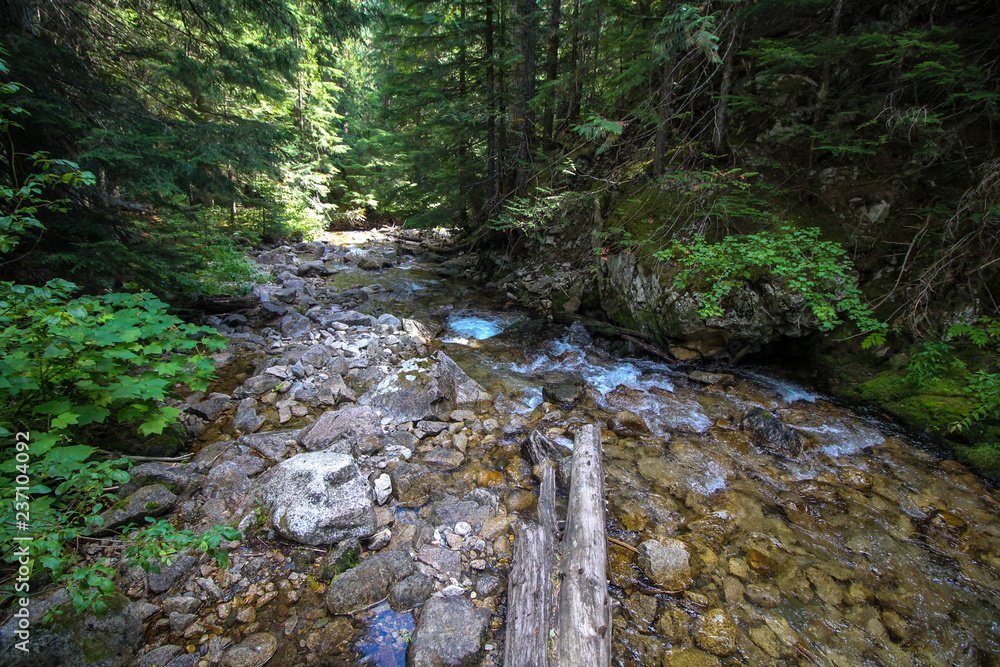 Fototapeta premium Peaceful Stream