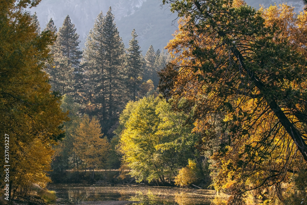Fall colors in Yosemite Valley in Yosemite National Park in California
