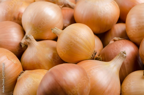 Pure organic raw onion