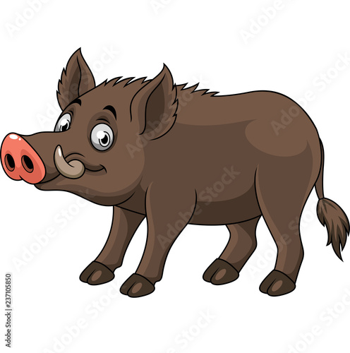 Cartoon funny wild boar
