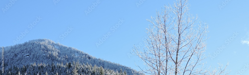 First Snow in West Central Cascades 2018 - 2 First Snow in West Central Cascades 2018 - 2