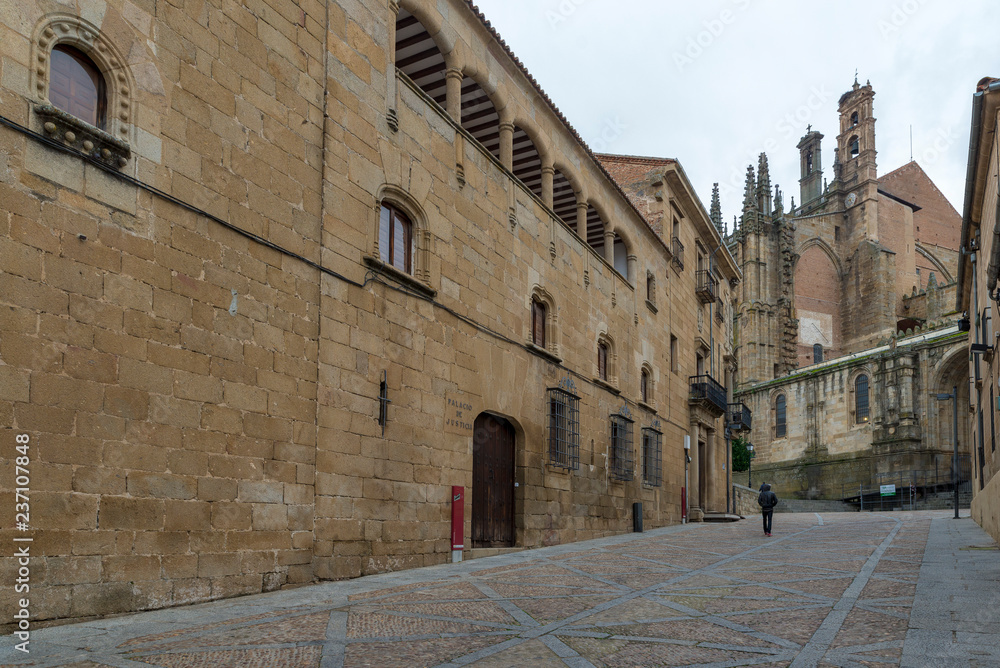 PLASENCIA, CACERES, SPAIN - NOVEMBER 18, 2018: House of the Archdeacon of Trujillo. In the background you can see the cathedral