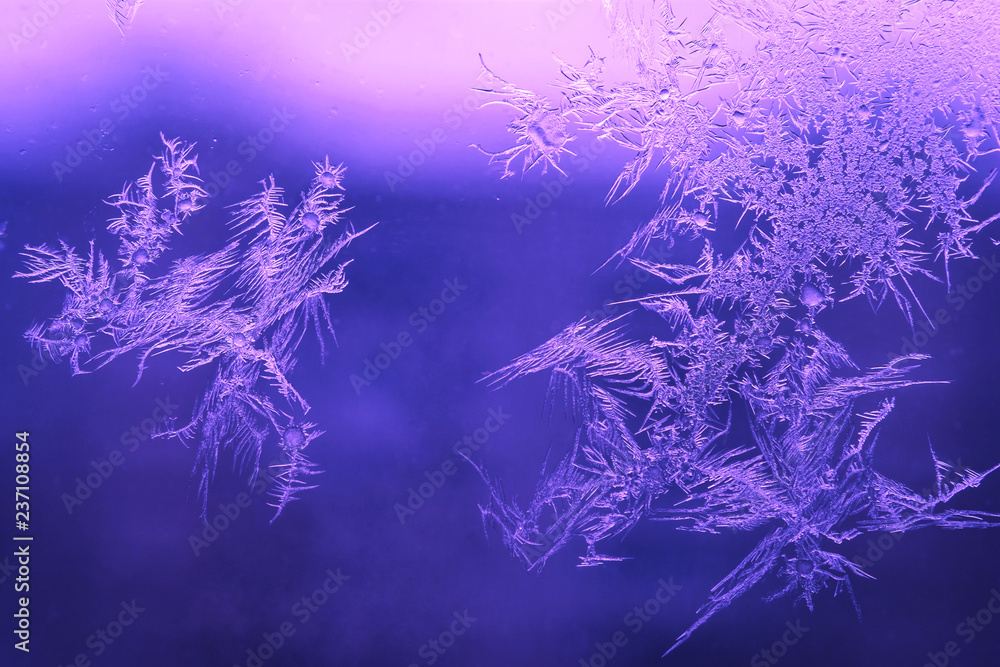 Winter Holidays Season Fantasy World Concept: Macro Image of Natural Ice Crystals Patterns on a Frosted Window Pane With Purple Sun Glow. Hoarfrost Background.