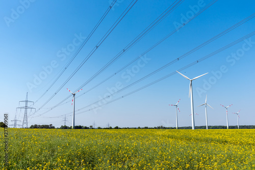 Fotografie Field of rapeseed with high-voltage lines and wind turbines in the back seen in