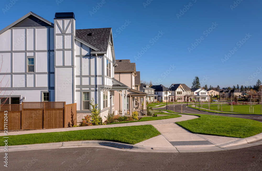 Row of houses in Willsonville Oregon.