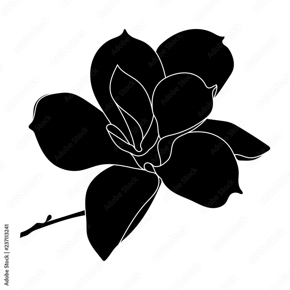 Obraz premium Graphical black flower illustration. Vector.