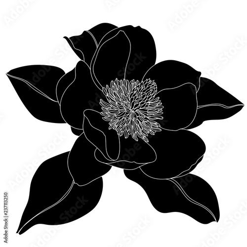 Graphical black flower illustration. Vector.