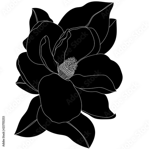 Graphical black flower illustration. Vector.
