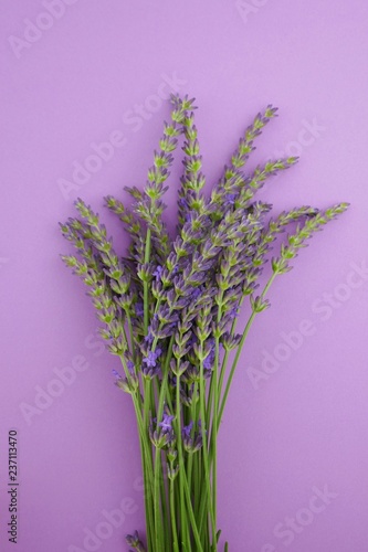 lavender  bouquet of flowers on a gentle lilac pastel background. top view.lavender season