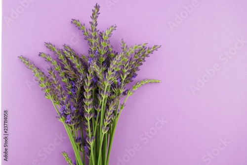 lavender  bouquet of flowers on a gentle lilac  background. top view, copy space.lavender season