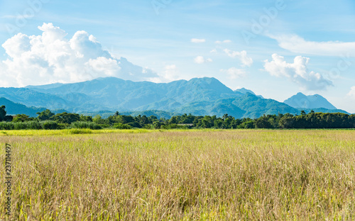Scenery view of Doi Nang Non ("Mountain of the Sleeping Lady") an iconic mountains range located in Mae Sai district of Chiang Rai province, Thailand.