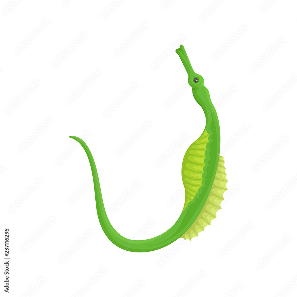 Green seahorse with long tail. Marine animal. Small ghost pipefish. Sea  creature. Underwater life. Flat vector design Stock Vector | Adobe Stock