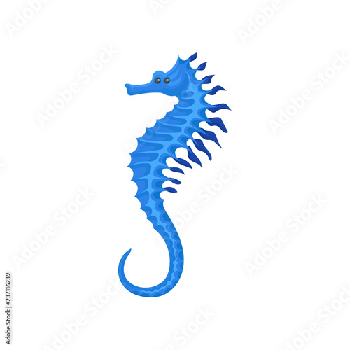 Flat vector icon of bright blue seahorse. Small marine fish. Tropical sea creature. Ocean life theme