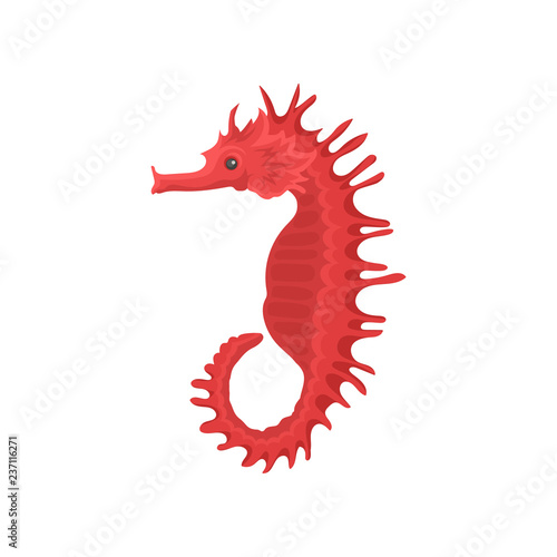 Flat vector icon of bright red seahorse, side view. Exotic sea animal. Marine creature. Underwater life