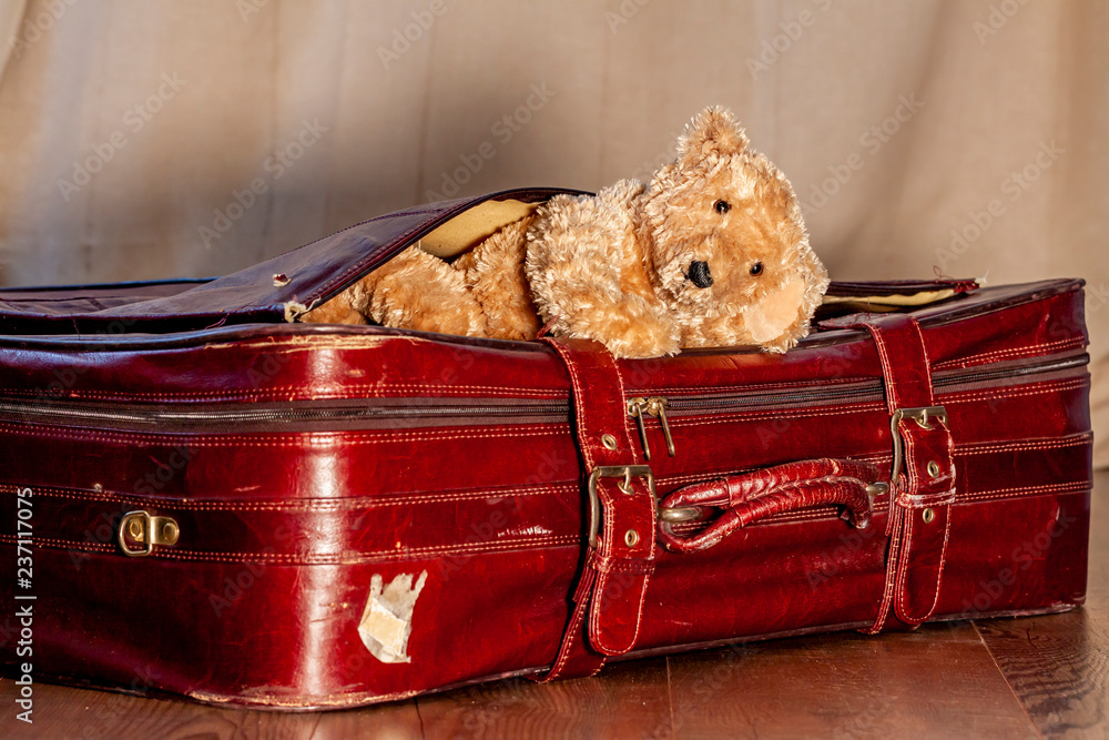 Travel concept of Teddy bear and red vintage suitcase Stock Adobe Stock