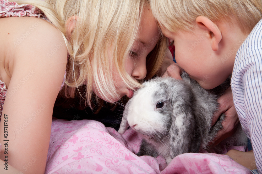 Portrait of a brother and sister in studio with a rabbit Portrait of a brother and sister in studio with a rabbit